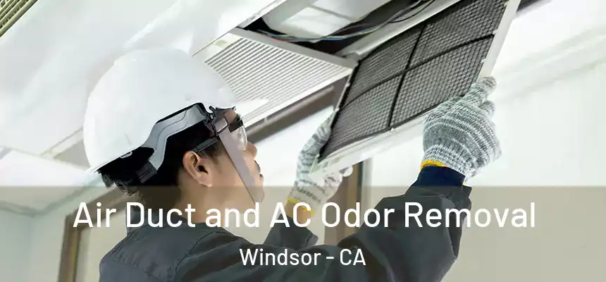 Air Duct and AC Odor Removal Windsor - CA
