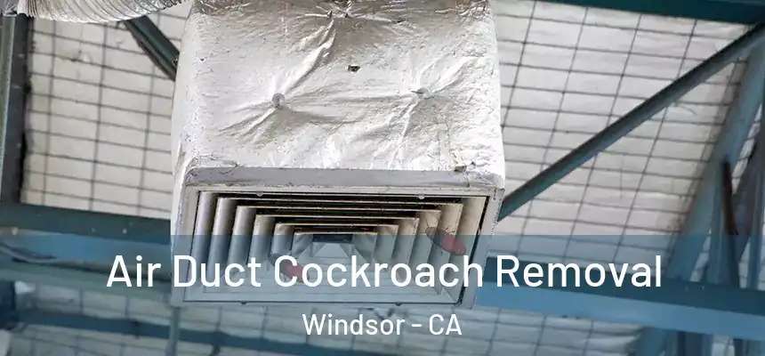  Air Duct Cockroach Removal Windsor - CA