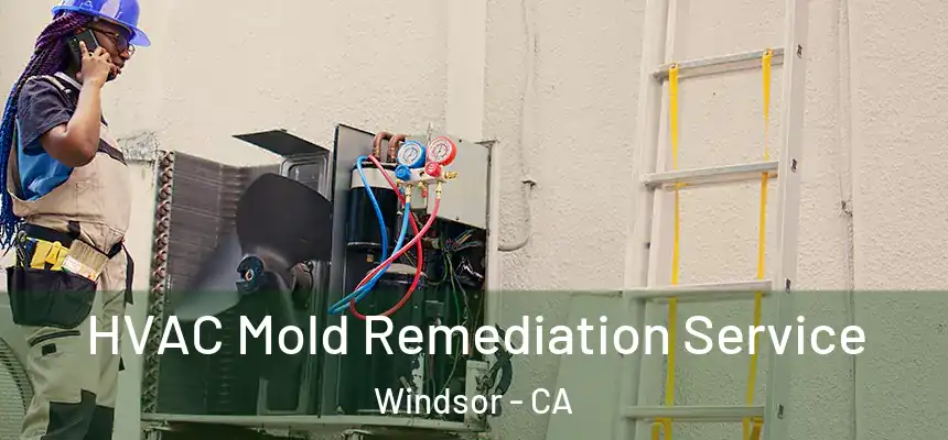 HVAC Mold Remediation Service Windsor - CA