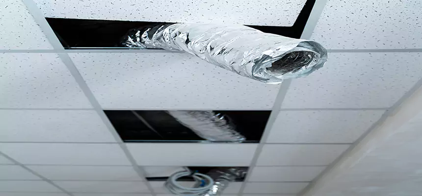 Affordable HVAC Sanitizing After Pest Removal in Windsor