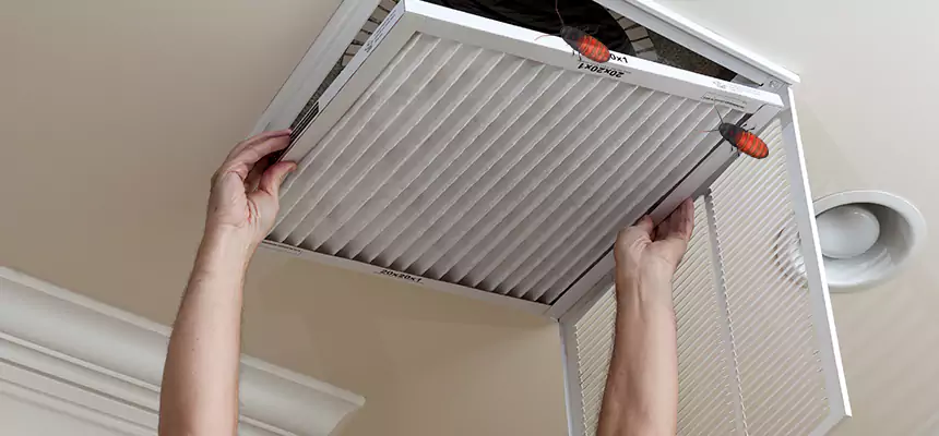Our Insect Removal from Air Ducts Services in Windsor, CA