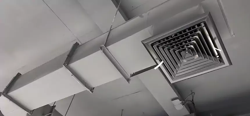 Our Pest Removal From Ducts Services in Windsor, CA