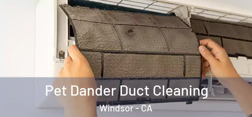  Pet Dander Duct Cleaning Windsor - CA