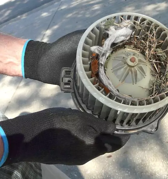 About Air Duct Mice Removal in Windsor, CA