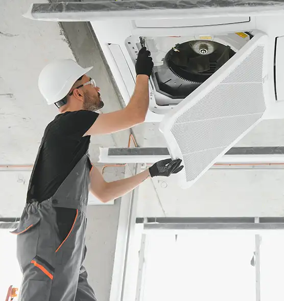 About Air Duct Rodent Removal in Windsor, CA