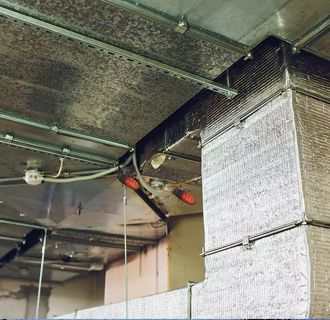 Why Homeowners & Businesses Trust Us in Windsor, CA?