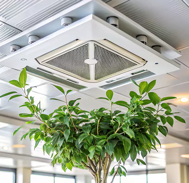 Why Homeowners & Businesses Trust Us in Windsor, CA?