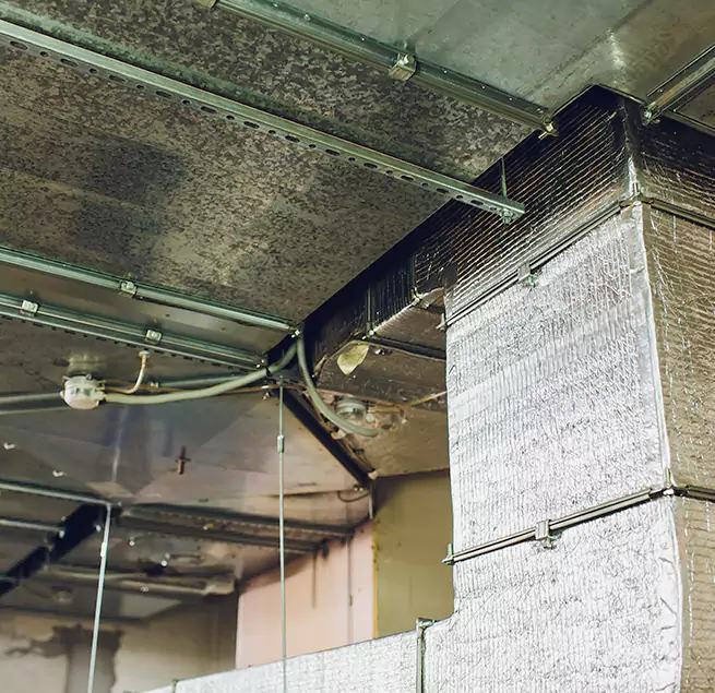 Why Homeowners & Businesses Trust Us in Windsor, CA?