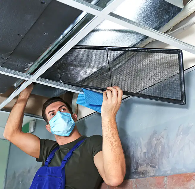 Why Homeowners & Businesses Trust Us in Windsor, CA?