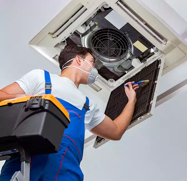 Why Homeowners & Businesses Trust Us in Windsor, CA?